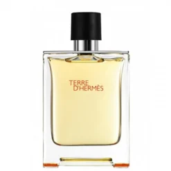 Hermès Hermes Terre D'Hermes Eau De Toilette 100 Ml Spray